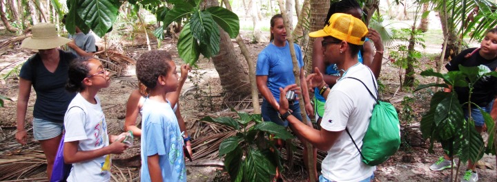 Students can learn about native plants found in the VI.